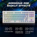 Aula F2183 HotSwap Mechanical RGB Keyboard