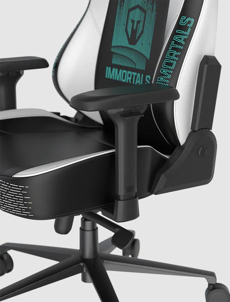 DXRacer Team Immortals-Craft Series Gaming Chair