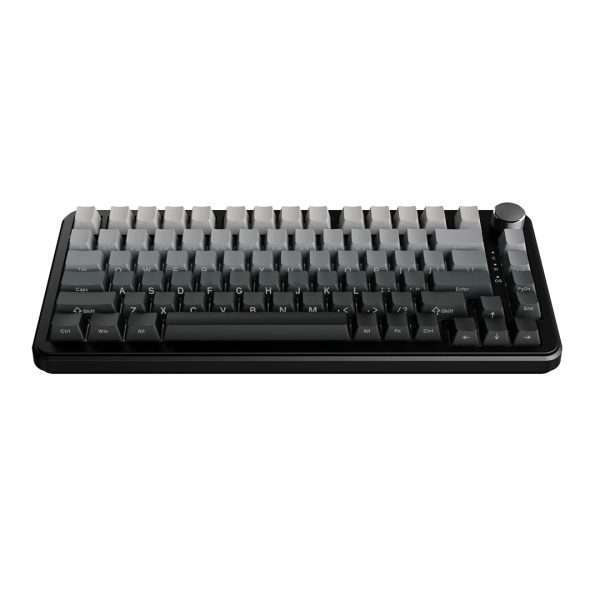 AJAZZ AK820 MAX PLUS Wireless + Bluetooth HotSwap Mechanical RGB Gaming Keyboard (Gradient Black)