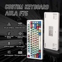 Aula F75 Pro Wireless + Bluetooth HotSwap Mechanical RGB Gaming Keyboard (Comics – Reaper Switch)