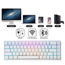 RK68 Wireless Mechanical Gaming Keyboard - Hot Swappable Switch (white)