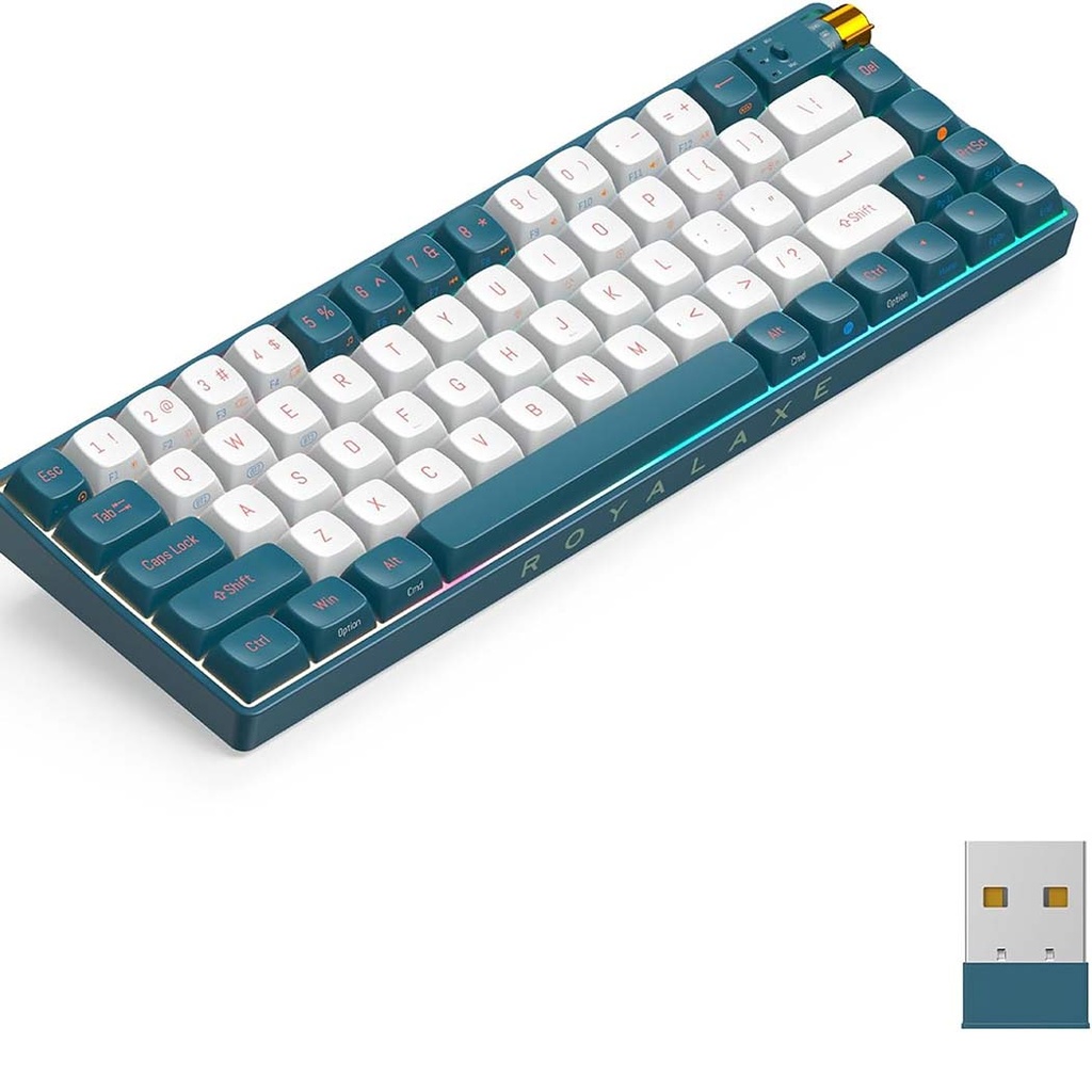 ROYAL AXE R68 KEYBOARD (TTC Gold Pink Switch V2) | Gear Studio | PC ...